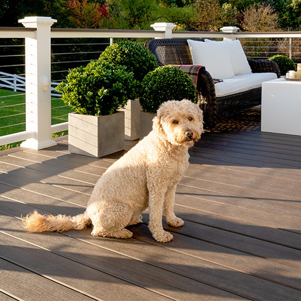 Mocha — TimberTech Legacy Decking Plugs — Mocha, 100-Pack