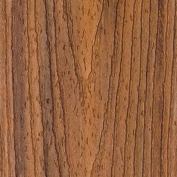 Havana Gold — Trex Transcend Decking Plugs — Havana Gold, 100-Pack